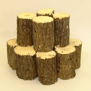 �N�k�M�Y������� ���` ���M�����[���i24�`40�{���j