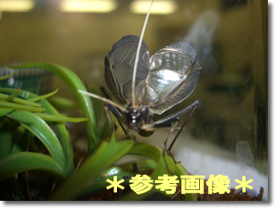钎̐TOyA