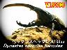 I̎s׸ڽE׸ڽ130upyA(1yA܂