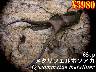 I̎s̪ο65upyA(1yA܂