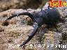 I̎sިؽ80up߱(1߱܂