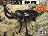 I̎sSUPER́yz50up߱