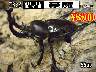 I̎sSUPER́yz55up߱