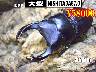 I̎sSUPER́yNISHITADA87.0z85mmyA