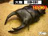 I̎sSUPER́yREX-888z86mmyA