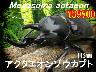I̎sݿ޳112mmyA