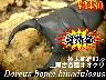 ���I�y�������z�㈢�ÒJ�Y���܋ɑ�����60up�����߱