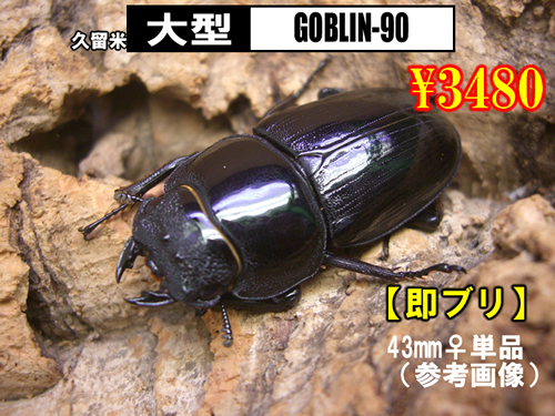 Rod 10500 織れる 網取り付け用長竿のみ