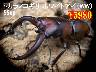 蒎̎s@Ķɺyܲız55up߱