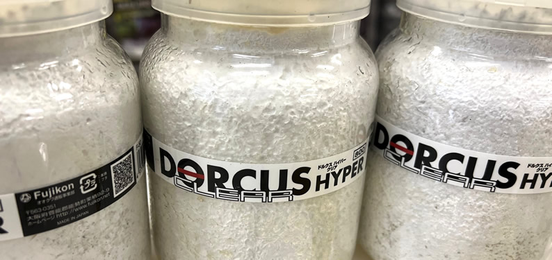 y󂠂zIIqcgNA800ml