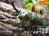 ���I���̎s���j�W�C���N���K�^3�ߗc��(5���܂�