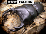 ��^���yFALCON�z����