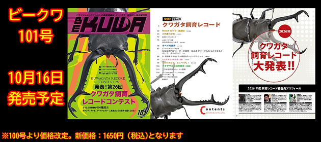 新着情報【フジコン】